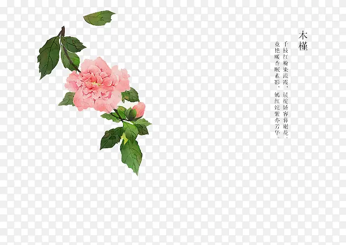 �ֻ滨��-������