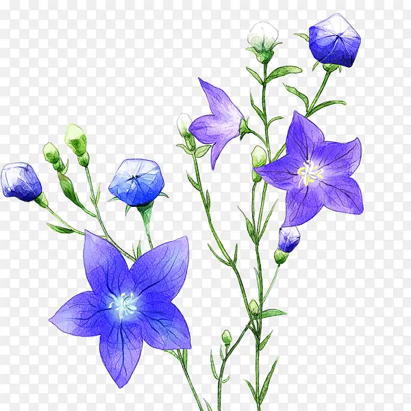 �ֻ滨��-������