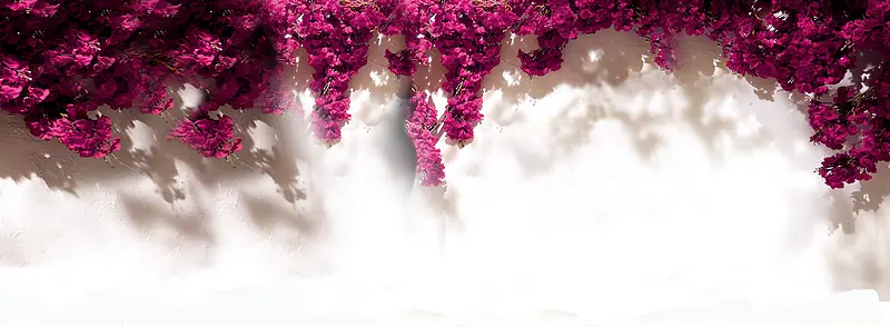 ���ܱ���-������