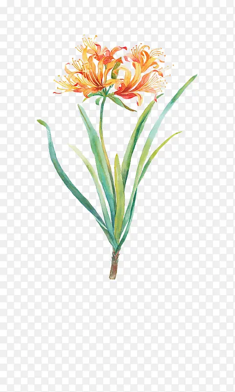 Ψ���ֻ��ʻ�-������