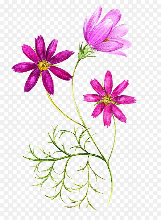 ˮ���ֻ滨��ͼ��-������