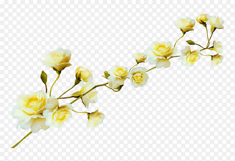 ��-������