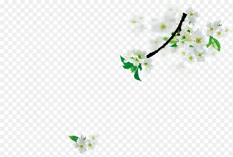 ��ɫ����-������