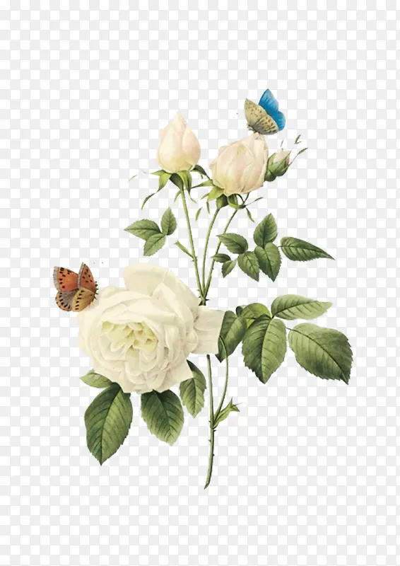 ˮ��ĵ��-������