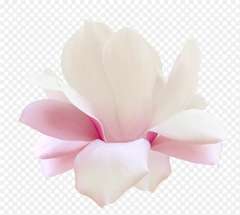 ����ʸ���ز�ˮ�ʻ����ز�-������