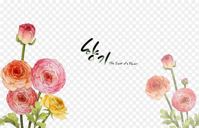 ˮ�ʻ���-������