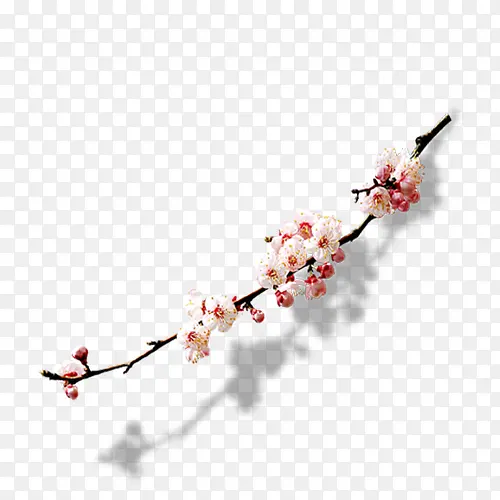 �һ�-������