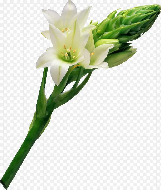 ˮ�ʻ����ز��ʻ�����-������