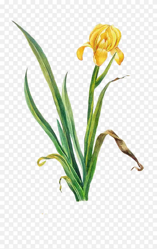 Ψ���ֻ��ʻ�-������