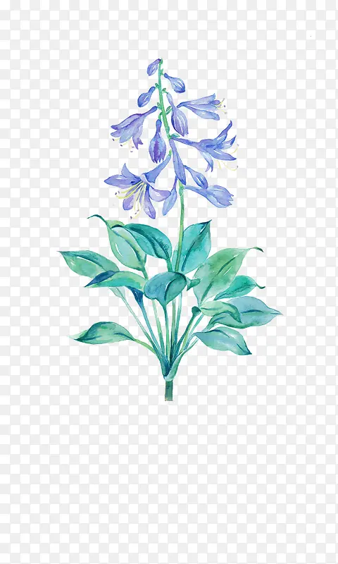 Ψ���ֻ��ʻ�-������