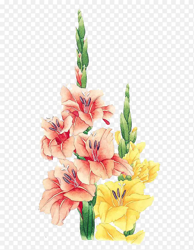 �ֻ�Ψ���ʻ�-������