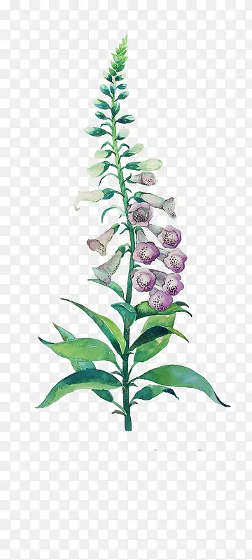 Ψ���ֻ��ʻ�-������