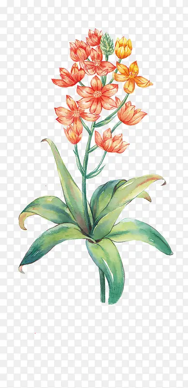 Ψ���ֻ��ʻ�-������