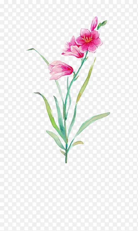 Ψ���ֻ��ʻ�-������