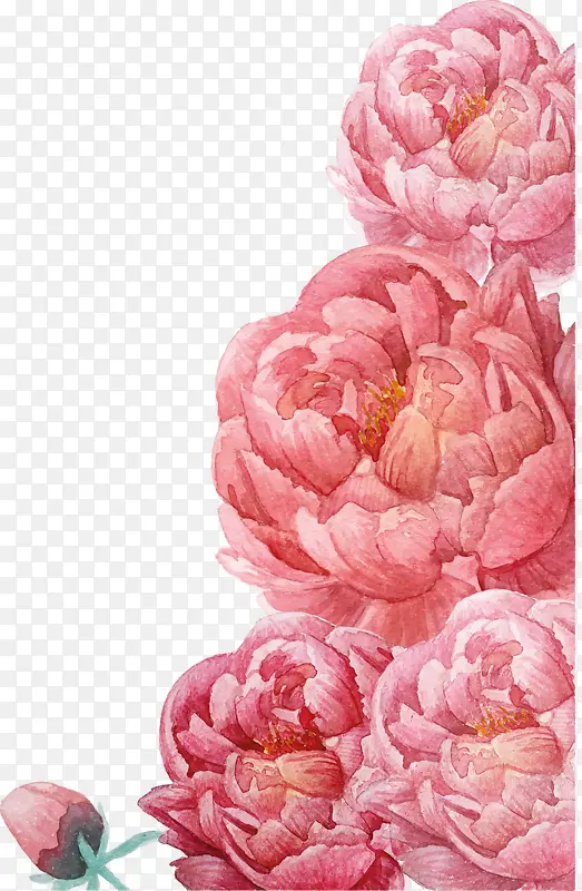 ��ɫˮ�ʻ���-������