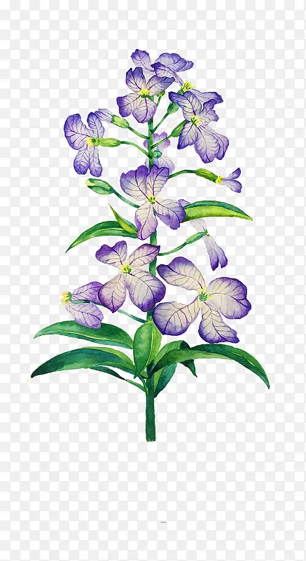 Ψ���ֻ��ʻ�-������