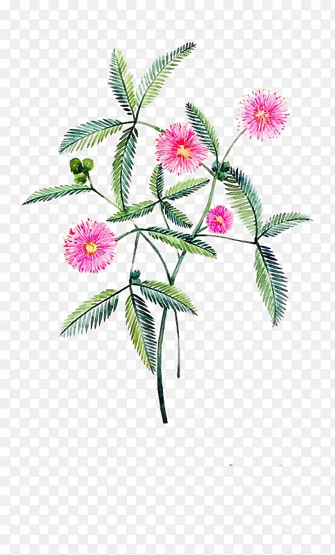 Ψ���ֻ��ʻ�-������