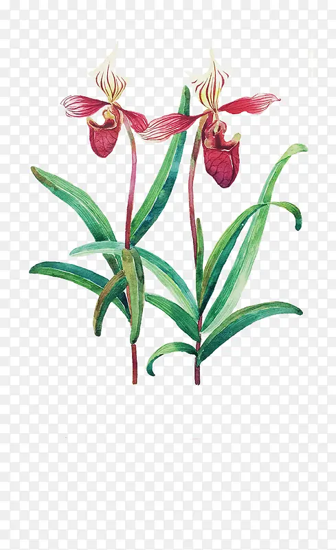 Ψ���ֻ��ʻ�-������