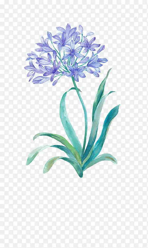 Ψ���ֻ��ʻ�-������