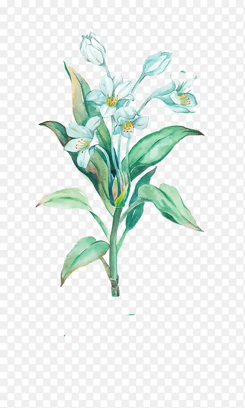 Ψ���ֻ��ʻ�-������