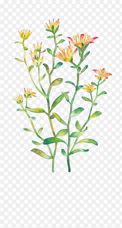 Ψ���ֻ��ʻ�-������