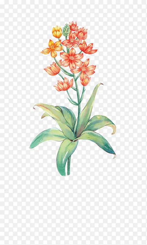 Ψ���ֻ��ʻ�-������