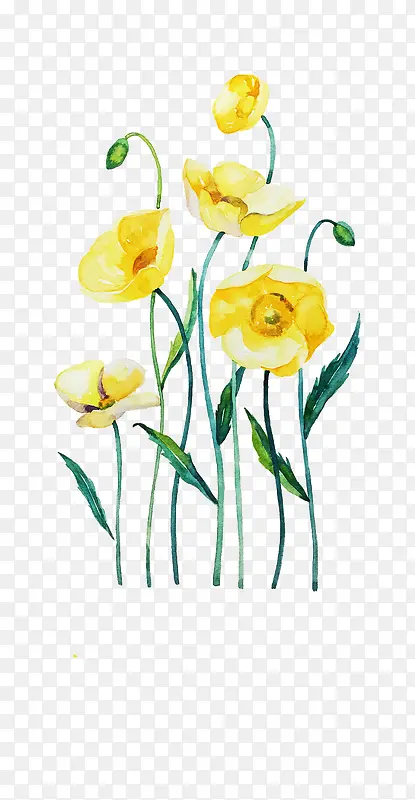 Ψ���ֻ��ʻ�-������