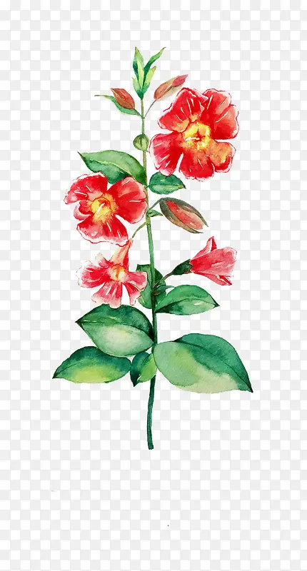 Ψ���ֻ��ʻ�-������