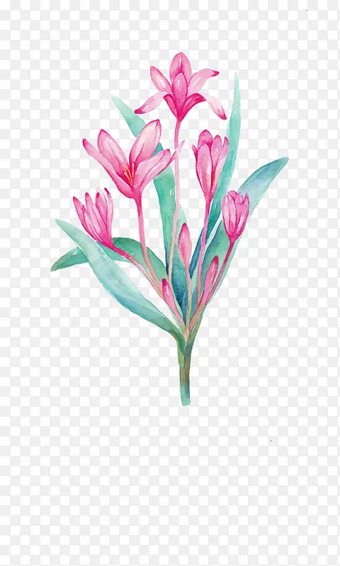 Ψ���ֻ��ʻ�-������