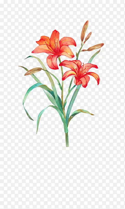 Ψ���ֻ��ʻ�-������