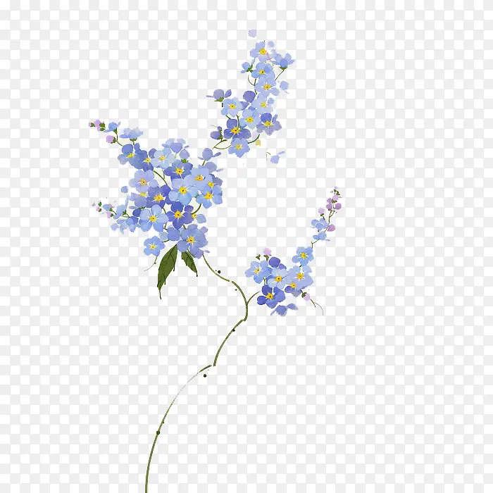 �ֻ滨��-������