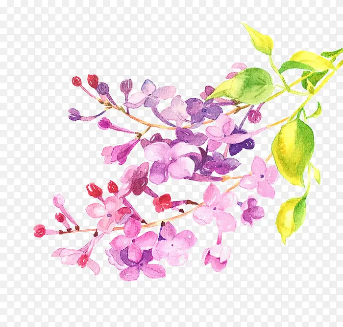 Ψ���ֻ��ʻ�-������