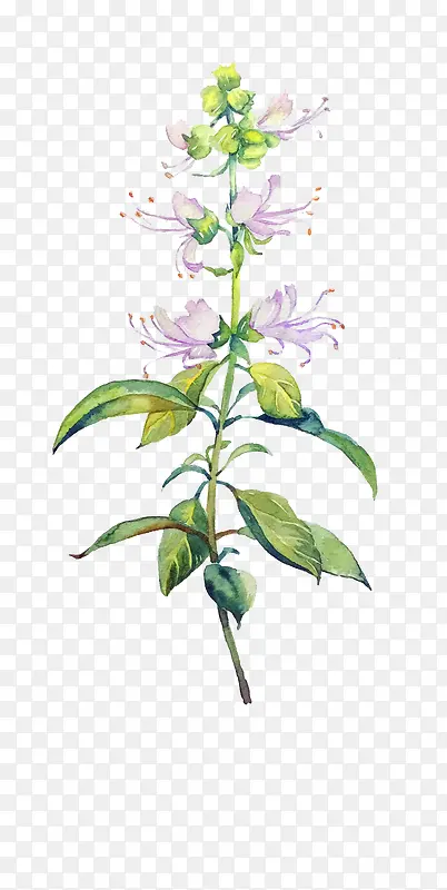 Ψ���ֻ��ʻ�-������