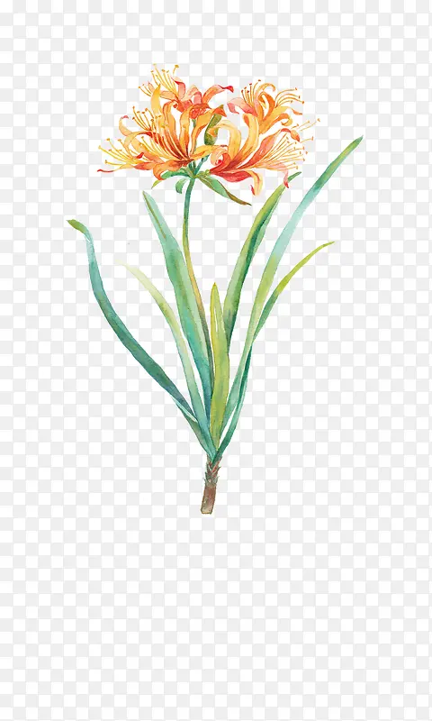 Ψ���ֻ��ʻ�-������