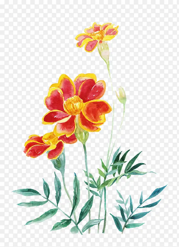 Ψ���ֻ��ʻ�-������