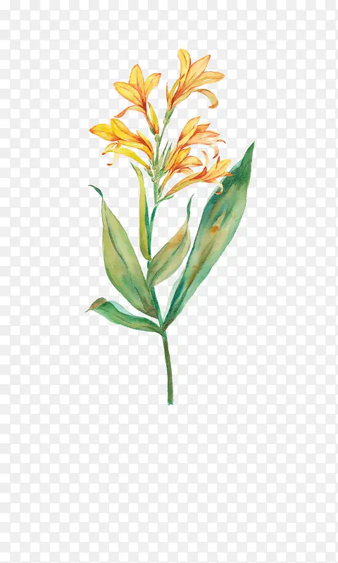 Ψ���ֻ��ʻ�-������