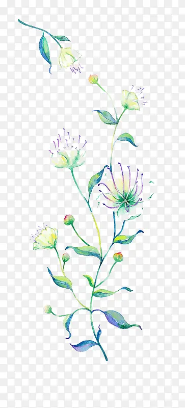 Ψ���ֻ��ʻ�-������