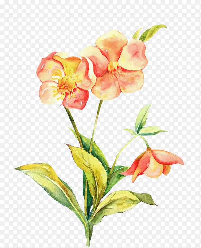 Ψ���ֻ��ʻ�-������