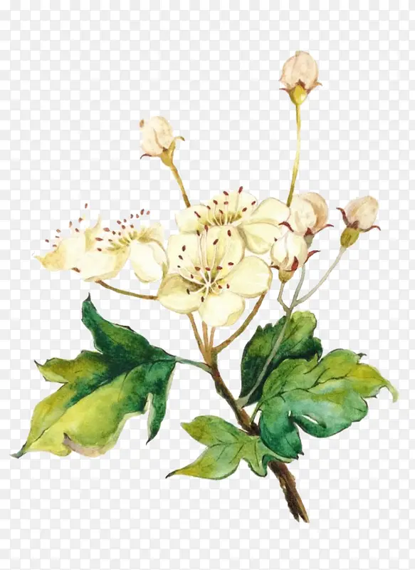 Ψ���ֻ��ʻ�-������