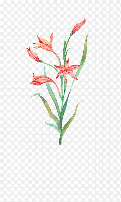 Ψ���ֻ��ʻ�-������