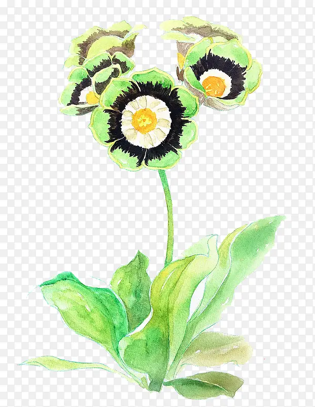 Ψ���ֻ��ʻ�-������