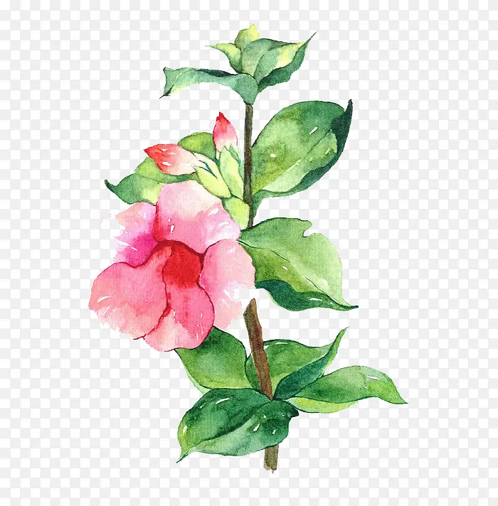 Ψ���ֻ��ʻ�-������