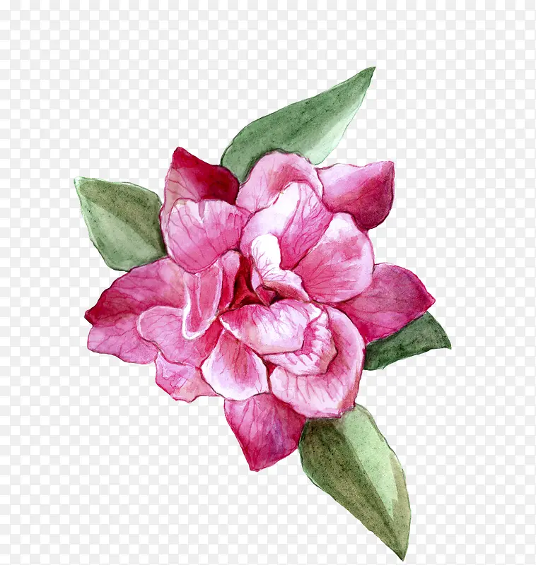 ˮ�ʻ���-������