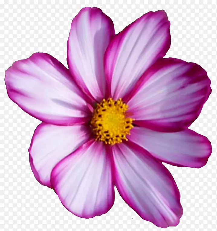 ���ܱ�ǩ�ֻ滨���ز�-������