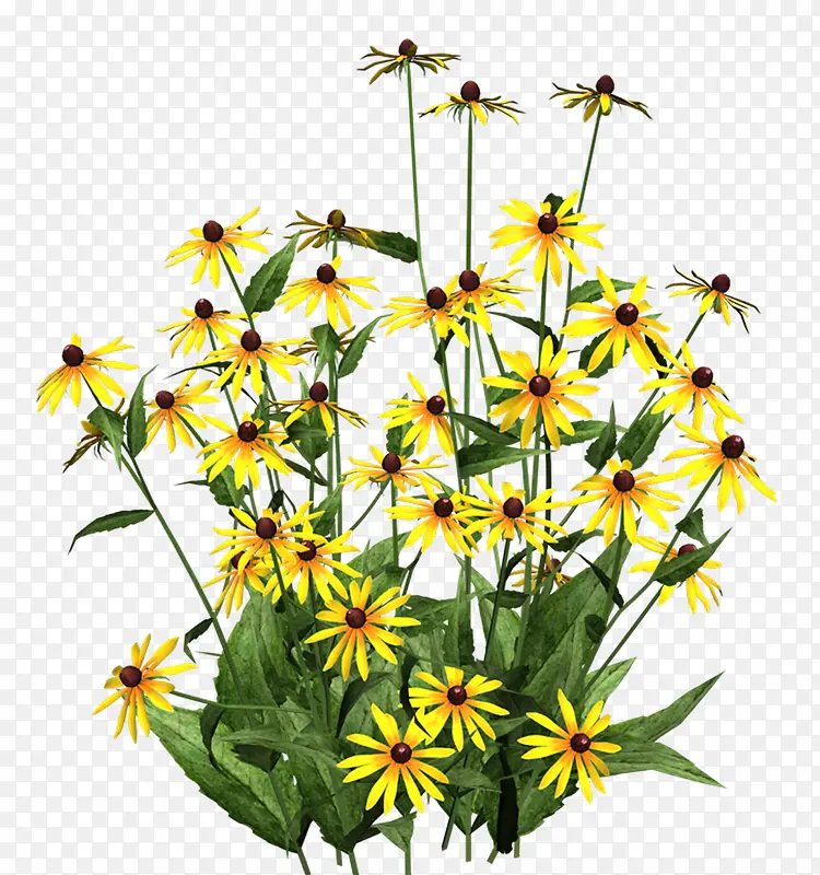 ����ʸ���ز��ֻ滨���ز�-������