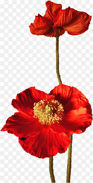 ����ͼ���ز��ֻ�װ��ͼƬ-������