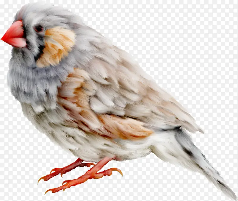 ����ͼ���ز�ˮ�ʻ����ز�-������