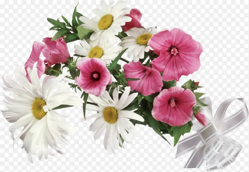 �ֻ滨���ز�װ��-������