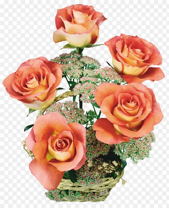 ��ͨ�ʻ�����-������