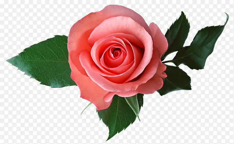 ����ʸ���زĻ���ͼ���ز�-������